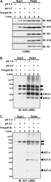 Fig 10