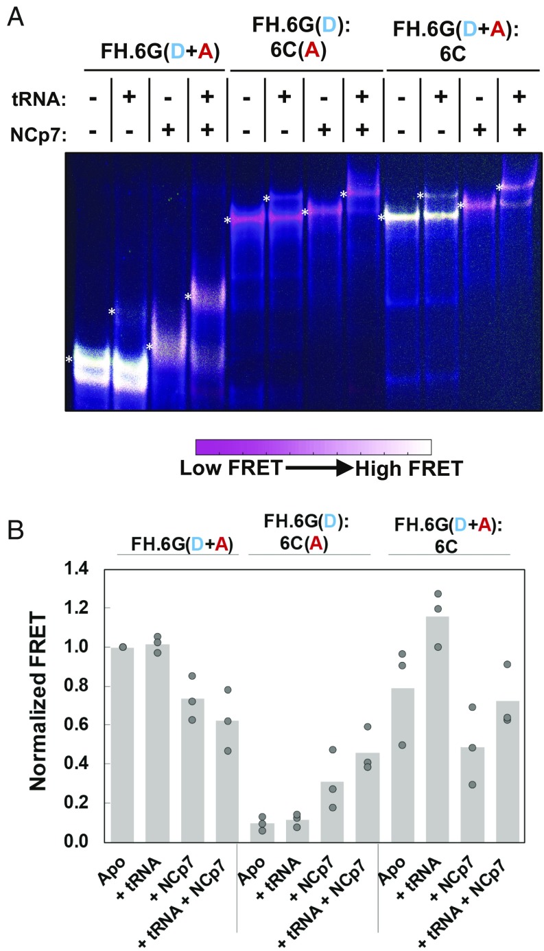 Fig. 6.