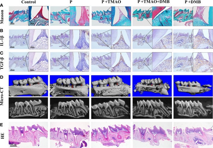 Figure 3