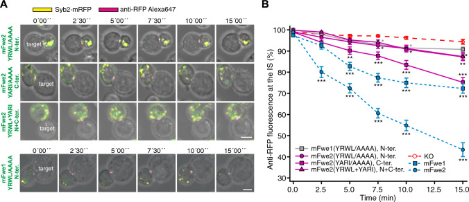 Fig. 6