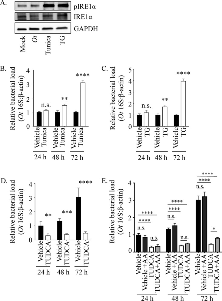 FIG 2