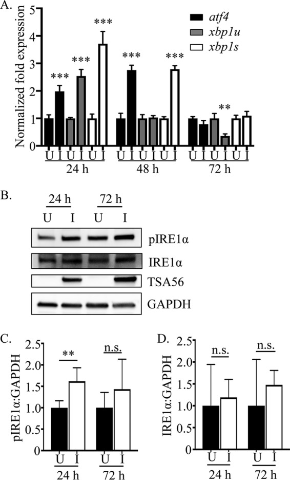 FIG 1