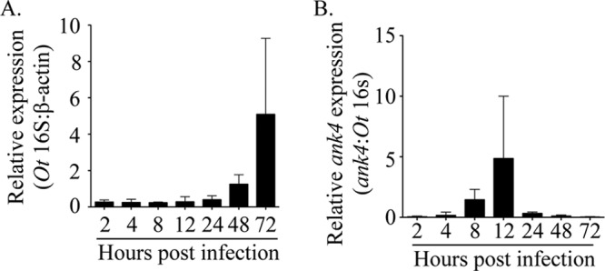 FIG 6