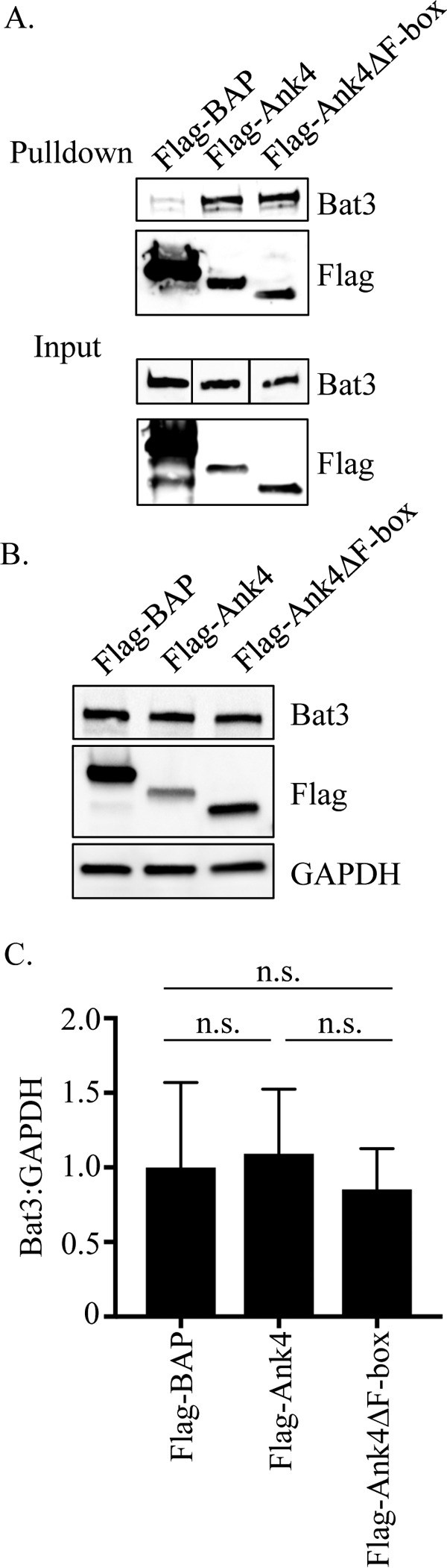 FIG 5