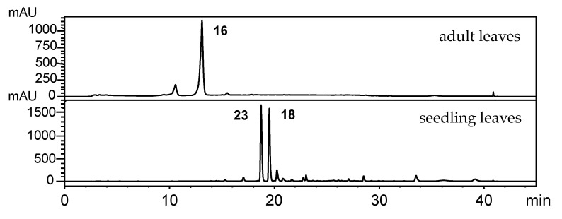 Figure 13