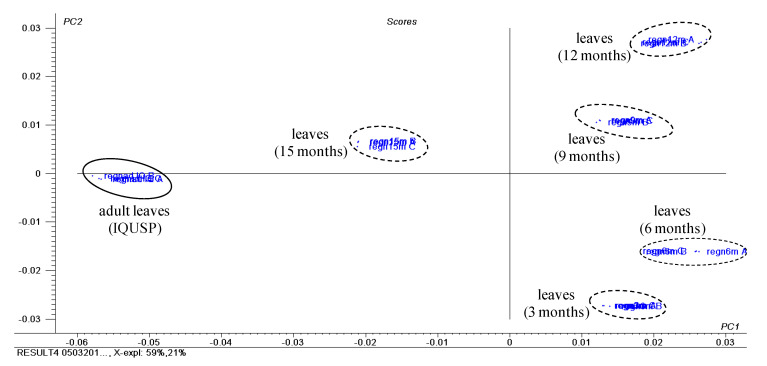 Figure 6