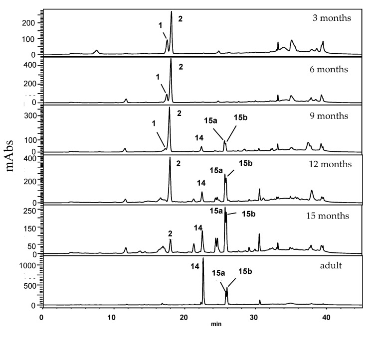 Figure 7
