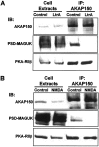 Fig. 9.