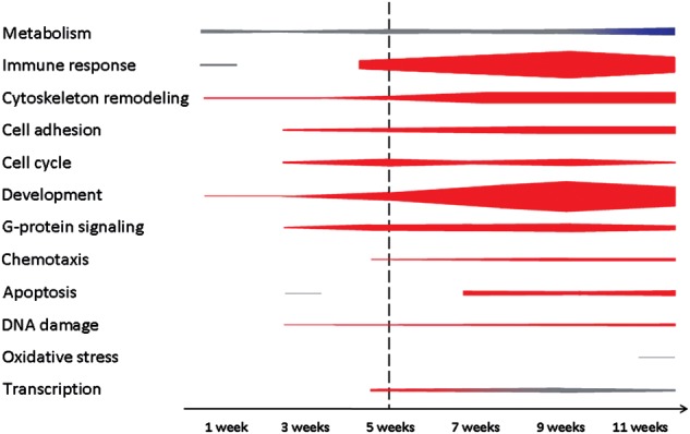 Figure 4.