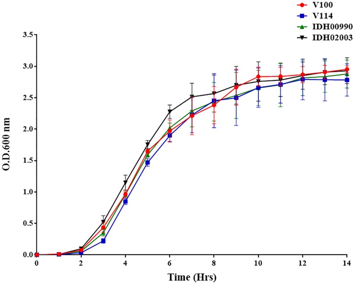 FIGURE 1