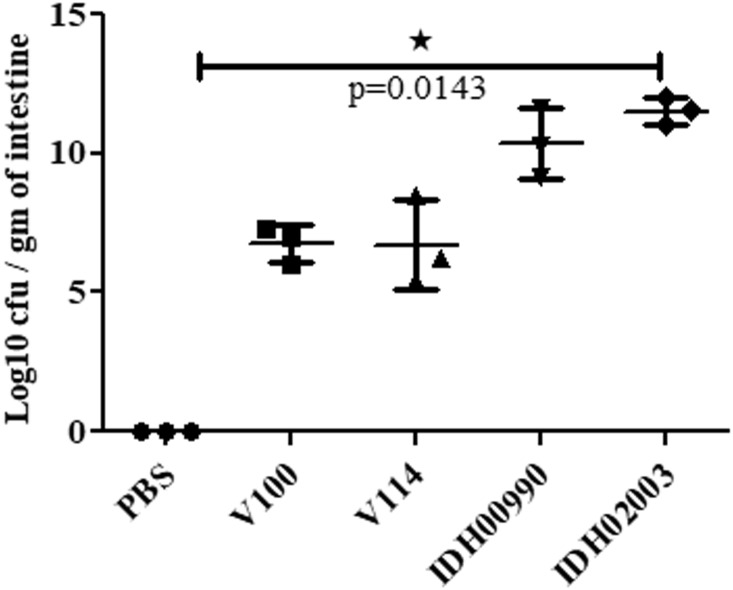 FIGURE 4