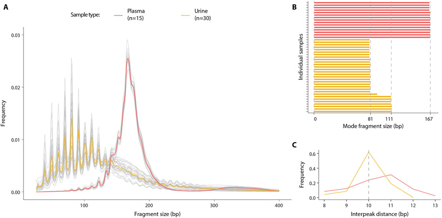 Fig. 1: