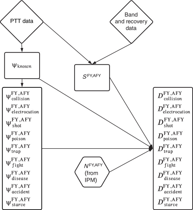 FIGURE 3