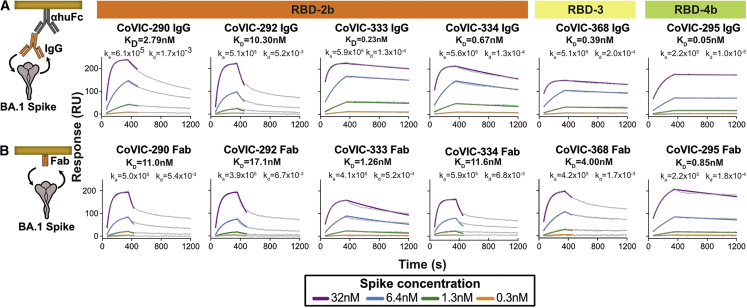 Figure 5