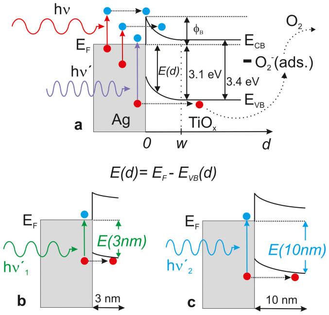 Figure 7