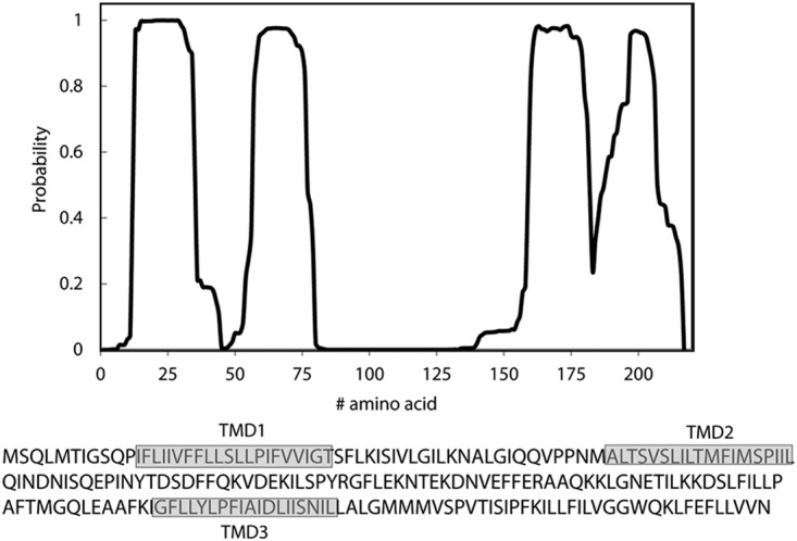 FIG 2 