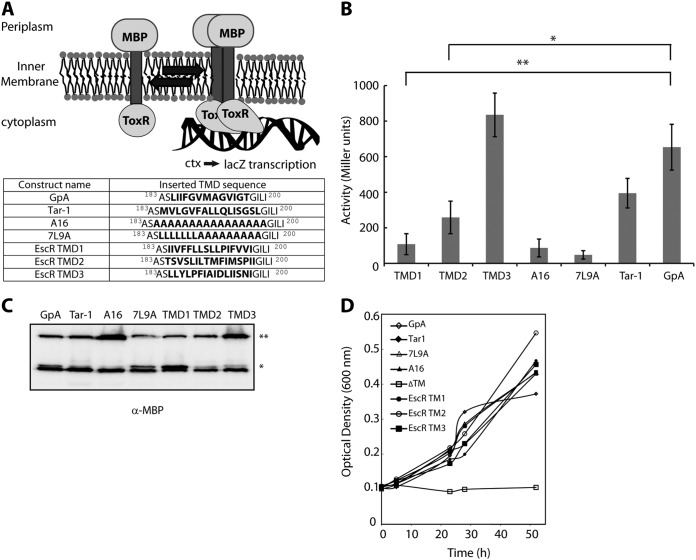 FIG 3 