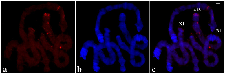 Figure 11