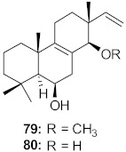 graphic file with name molecules-26-06197-i047.jpg