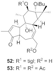 graphic file with name molecules-26-06197-i030.jpg