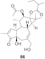 graphic file with name molecules-26-06197-i052.jpg