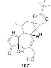 graphic file with name molecules-26-06197-i070.jpg