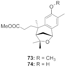 graphic file with name molecules-26-06197-i043.jpg