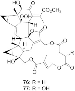 graphic file with name molecules-26-06197-i121.jpg