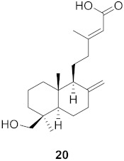 graphic file with name molecules-26-06197-i004.jpg