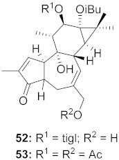 graphic file with name molecules-26-06197-i075.jpg