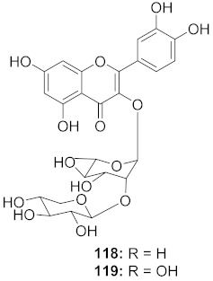 graphic file with name molecules-26-06197-i081.jpg