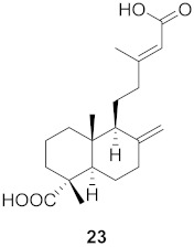 graphic file with name molecules-26-06197-i007.jpg