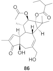 graphic file with name molecules-26-06197-i072.jpg