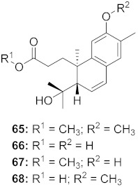 graphic file with name molecules-26-06197-i038.jpg