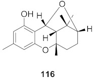 graphic file with name molecules-26-06197-i079.jpg