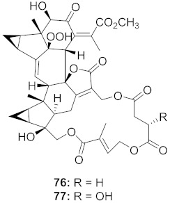 graphic file with name molecules-26-06197-i045.jpg