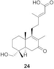 graphic file with name molecules-26-06197-i008.jpg