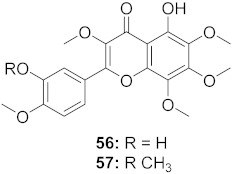 graphic file with name molecules-26-06197-i032.jpg