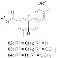 graphic file with name molecules-26-06197-i037.jpg