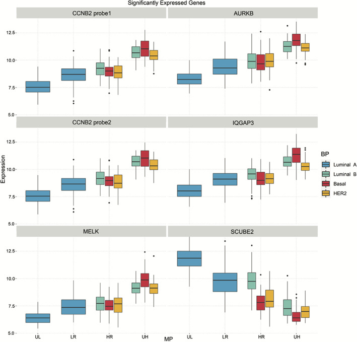 FIGURE 4