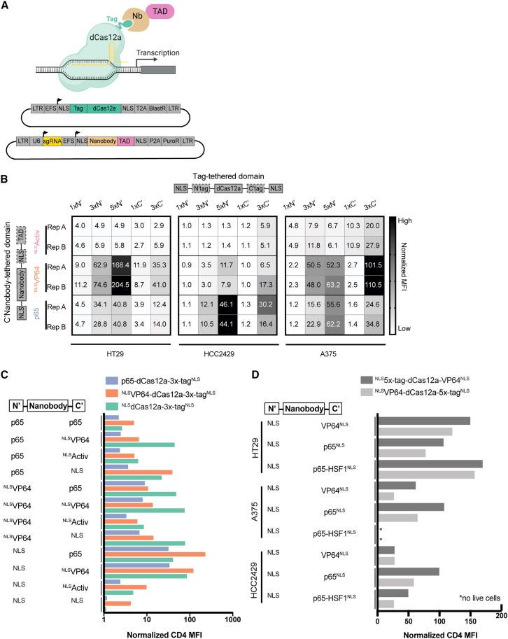 Figure 2