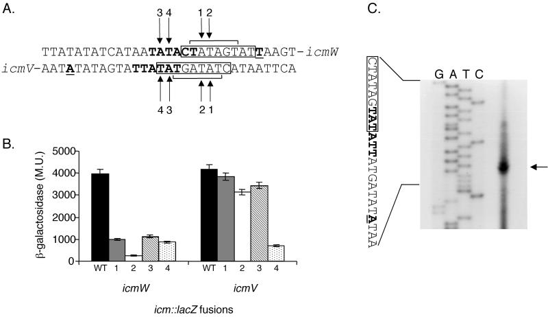 FIG. 7.