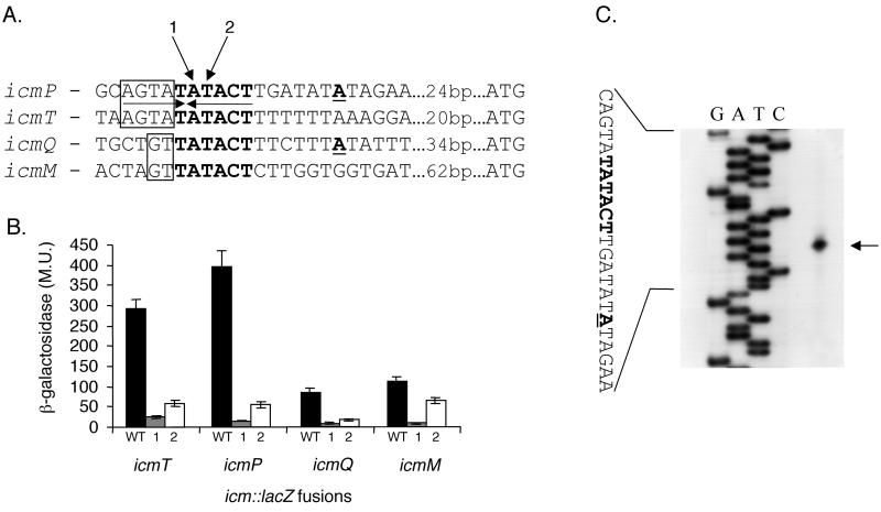 FIG. 3.