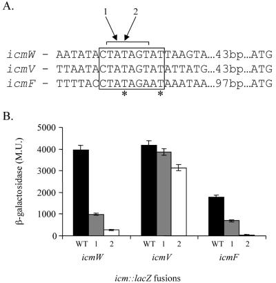 FIG. 6.