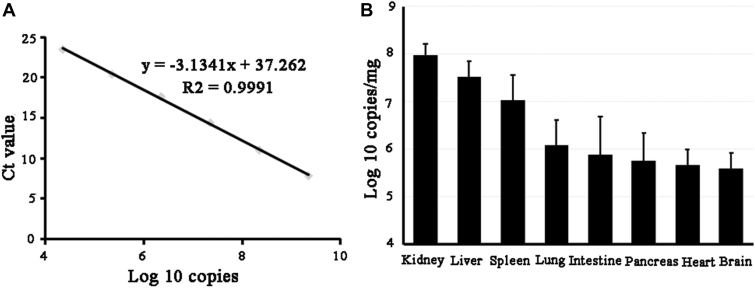 Figure 3