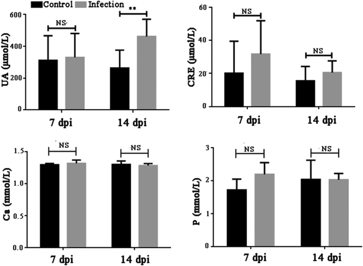 Figure 4