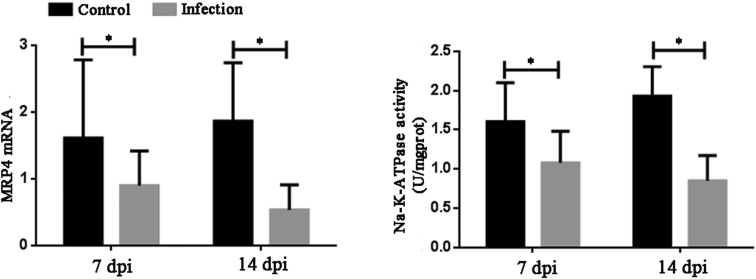 Figure 6