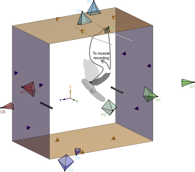 Figure 1—figure supplement 1.