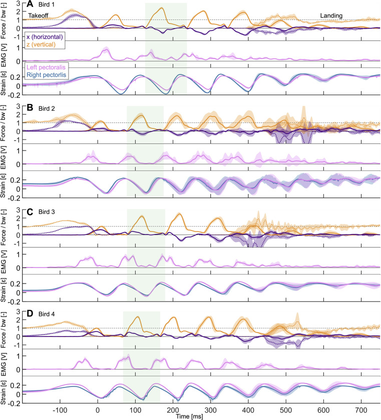 Figure 1—figure supplement 3.