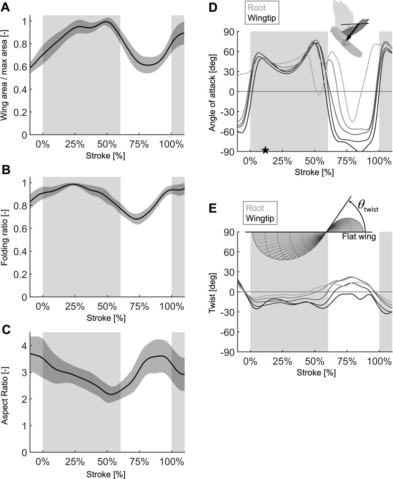 Figure 2—figure supplement 1.